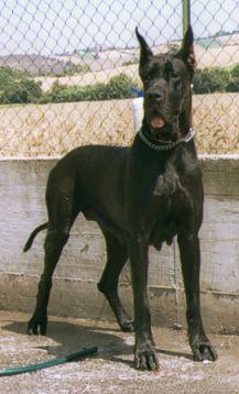 Olympia De La Benjamine