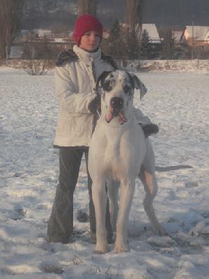 Innocence Von Schlesien