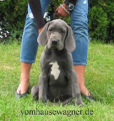 Ruga Vom Hause Wagner