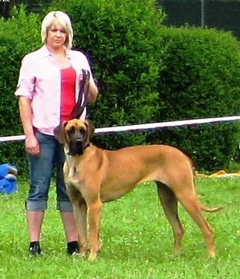 Leticia Vom Sprendlinger Tal