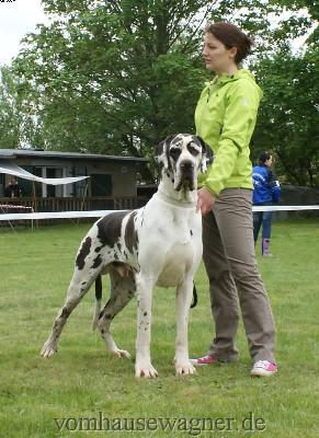 Don Angelo De La Grisonniere