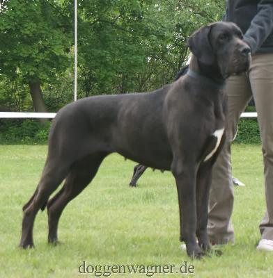 Djerka De La Grisonniere