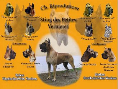 Sting Des Petite Vernieres
