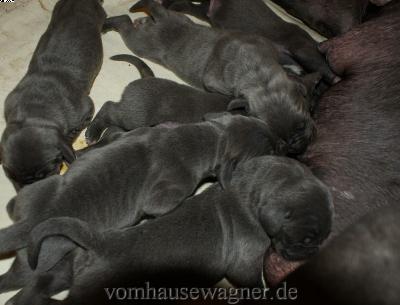 Loretto Vom Hause Wagner