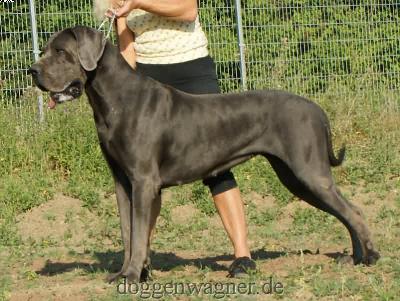 Gigi Vt Oenselerheem
