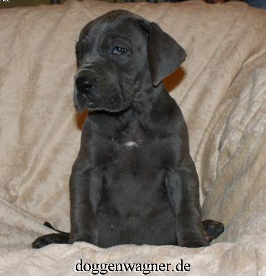 Prinzessin Maxima Vom Hause Wagner