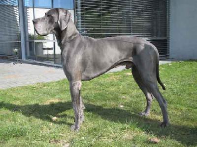 Quadrant Vom Hause Wagner