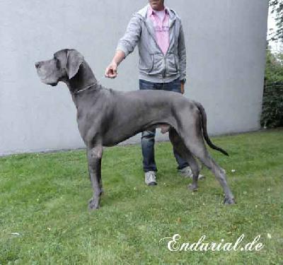 Quadrant Vom Hause Wagner