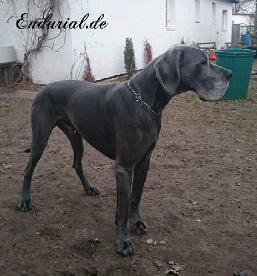 Quadrant Vom Hause Wagner