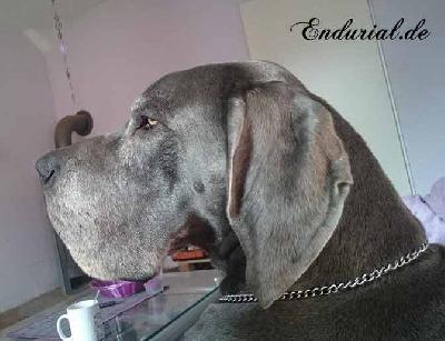 Quadrant Vom Hause Wagner