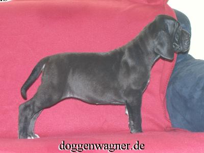 Tori Vom Hause Wagner