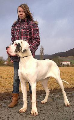 Emily Beaux Chiens