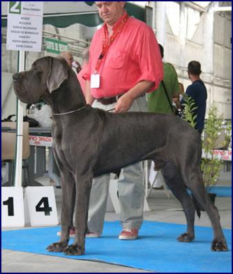 Almar della Baia Azzurra