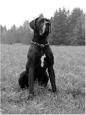 Balthasar VON BAVARIA A.M.