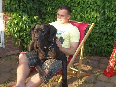 Black Jack Vom Mephisto