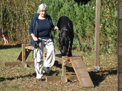 Black Jack Vom Mephisto