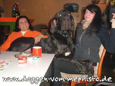 Black Jack Vom Mephisto