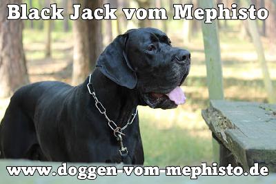 Black Jack Vom Mephisto