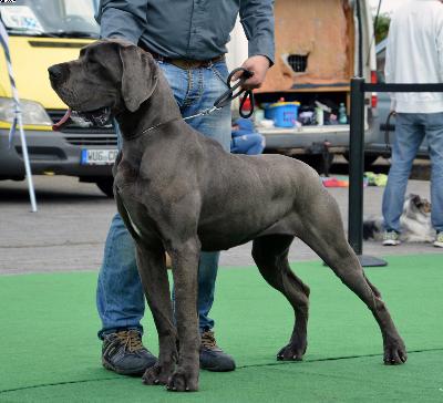 Grfin Sophie Vom Hause Wagner