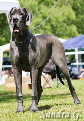 Quendoline Von Blue Ground