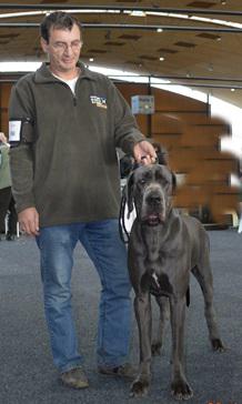 Rico Von Blue Ground