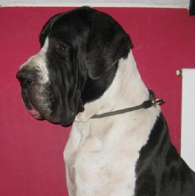 Eoll von Freyas Rosenrot