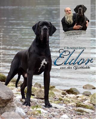 Ch Eldor von der Ofnethöhle