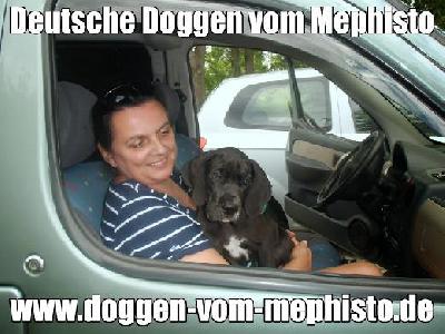 Cerberus Vom Mephisto