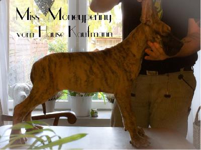 Miss Moneypenny Vom Hause Kaufmann