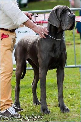 Djezabel della Baia Azzurra
