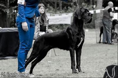 Elise della Baia Azzurra