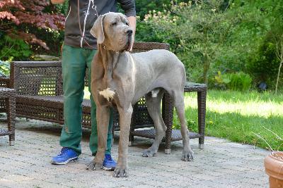 Lohendra de la Benjamine