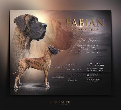 Ch Fabian Warrior Queen FCI