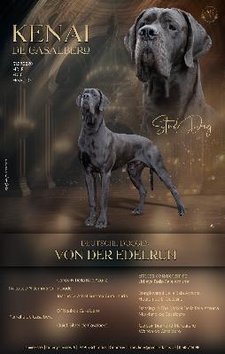Ch Kenai de Casalbero