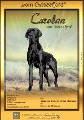 Ch Carolan vom Ostseefjord