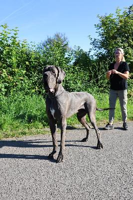 Sheriff Snikers Vom Hause Wagner
