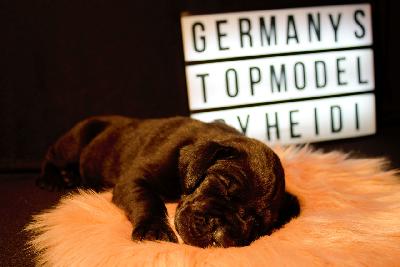 Germany`s Next Topmodel by Heidi vom Hause der Herzbuben