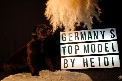 Germany`s Next Topmodel by Heidi vom Hause der Herzbuben