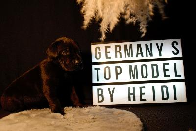 Germany`s Next Topmodel by Heidi vom Hause der Herzbuben