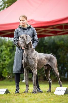 X-Ray Vom Hause Wagner