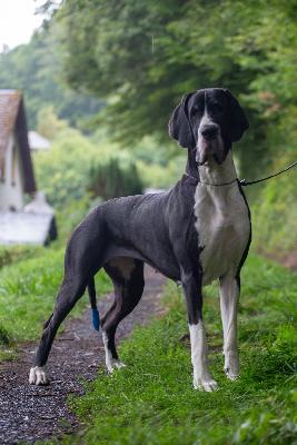 Just Magical Jane With Red Ribbon