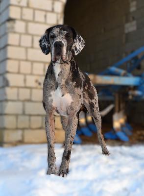 Bibi von der Titanenschmiede