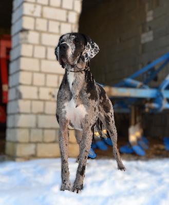 Bibi von der Titanenschmiede