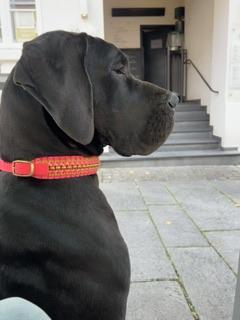 Cordula Cleo vom ROSENHGER BRINK
