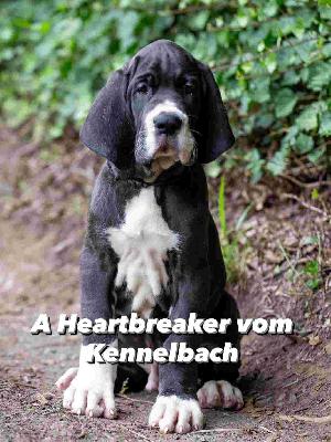 A Heartbreaker vom Kennelbach