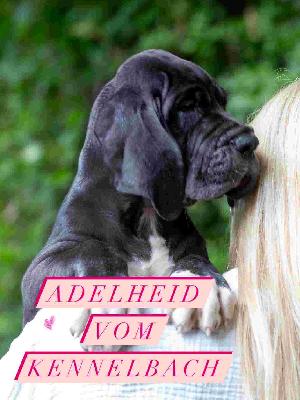 Adelheid vom Kennelbach