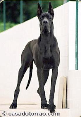 Helga da Casa do Torrao