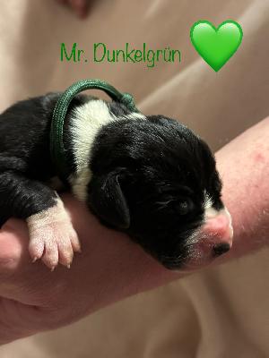 JUCO2025122105 vom Kennelbach