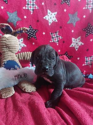 ITGR2026012501 Anima Avani