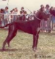 Ch Paola Des Terres  De La Rairie
